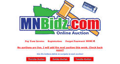 Desktop Screenshot of mnbidz.com