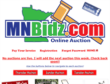 Tablet Screenshot of mnbidz.com